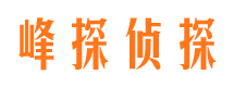 恩施私家调查公司